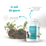 EasySires BlackMaca - immagine 2